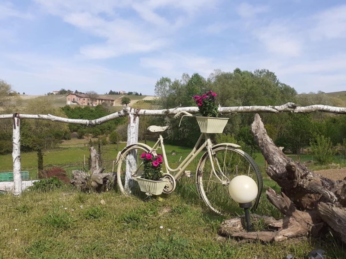 I Boidi Apartment Nizza Monferrato Exterior foto
