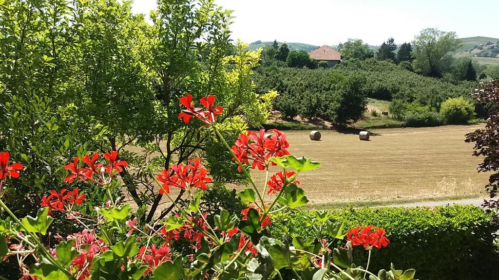 I Boidi Apartment Nizza Monferrato Exterior foto